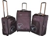 2010 popular 3pcs trolley case