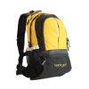2010 popular school backpack