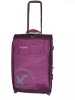 2010 the newest design 24' luggage