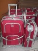 2011 4PCS EVA trolley case