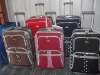 2011 4PCS EVA trolley case