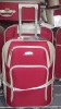 2011 4PCS EVA trolley case