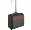 2011 Beautiful aeroplane luggage