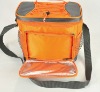 2011 Best Selling Funky Cooler Bag (CS-201327)