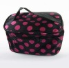 2011 Best popular cosmetic bag