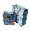 2011 Colorful paper bag