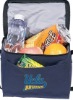 2011 Cooler Bag