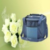 2011 Cooler Bags for travel