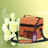 2011 Cooler Bags for travel