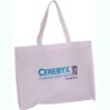 2011 ECO non-woven promotional bag