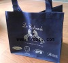 2011 ECO pp non woven bag for shopping &promotion