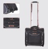 2011 EVA travel boarding luggage bag