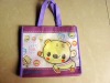 2011 Eco-friendly Non woven Bag(DFY-042)