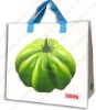 2011 Eco-friendly green non-woven bags