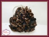 2011 Fashion Black-Brown Flower Evening Wristlet Bag (Hot Sale)