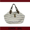2011 Fashion Canvas Lady Tote Bag