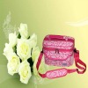 2011 Fashion  Cooler Bags for travel