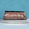 2011 Fashion Ladies' Clutch Bag