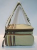 2011 Fashion Picnic Cooler Bag