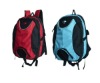 2011 Fashion Teens School Unique Backpacks