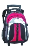 2011 Fashion Trolley Travel Bag