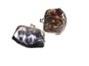 2011 Fashion coin purse