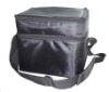 2011 Fashion cooler bag