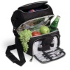 2011 Fashion cooler bag