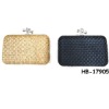 2011 Fashion lady clutch bag