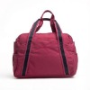 2011 Fashion lady travel bag