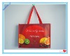 2011 Fashion non-woven hand bag (CL-B031)