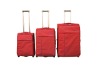 2011 Fashionable trolley bags