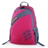 2011 Fire-new sport backpack