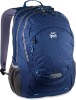 2011 HIHG STANDARD BLUE HIKING BACKPACK