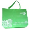 2011 HOT SALE New Design Fashionable promotion pp non woven shampoo carry bag