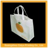2011 HOT SALE shopping bag
