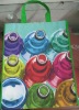 2011 High Quality PP Nonwoven Bag