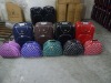 2011 High quality Travel Trolley luggage bag