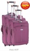 2011 Hot Sale Carry On Luggage