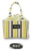 2011 Hot Sale Non Woven Picnic Bag