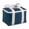 2011 Hot Sell New Design Picnic Cooler bag ( cooler shoulder bag ,cooler strap bag )