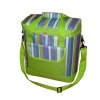 2011 Hot Sell New Design  Picnic Cooler bag ( cooler shoulder bag ,cooler strap bag)