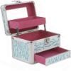 2011 Hot sale aluminum beauty case/box