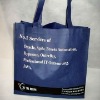 2011 Hot selling eco-friendly non woven shopping bag