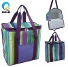2011 Insulated can cooler bag 20L
