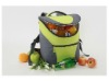 2011 Insulated picnic cooler backpack bag