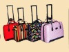 2011 Ladies Luggage case