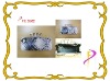 2011 Lady's formal Evening clutch
