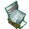 2011 Laminated PP Non Woven Cooler Bag (glt-c0054)