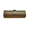 2011 Metal Frame Evening Bag